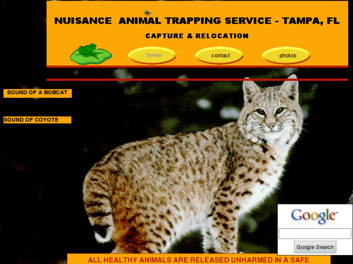 www.nuisanceanimaltrappingservice.com