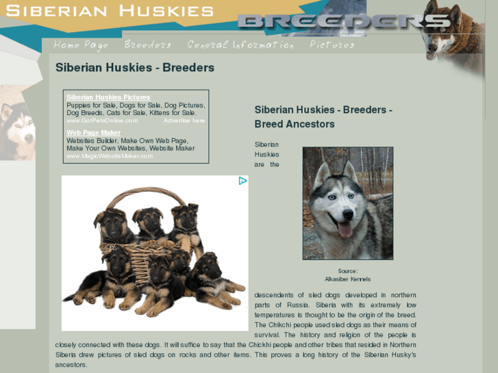 www.siberian-huskies-breeders.com