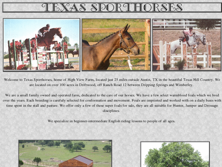 www.texassporthorses.com