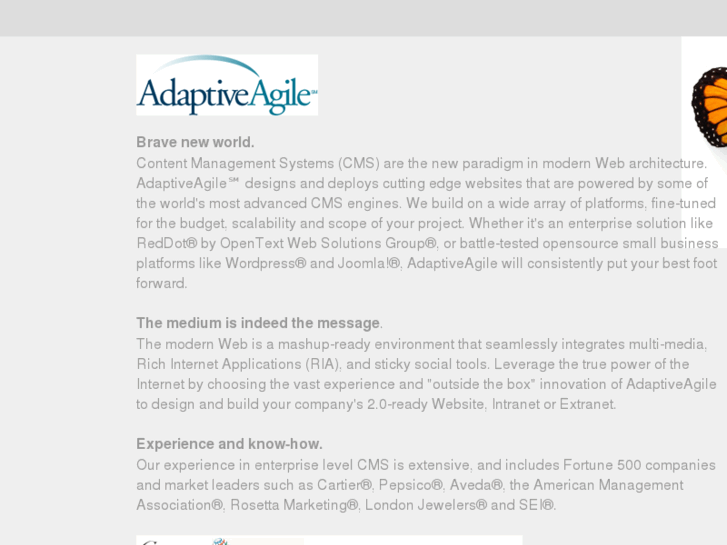 www.adaptiveagile.com