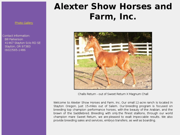 www.alexter.com