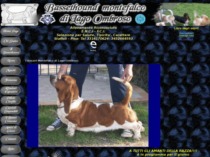 www.bassethoundallevamento.it