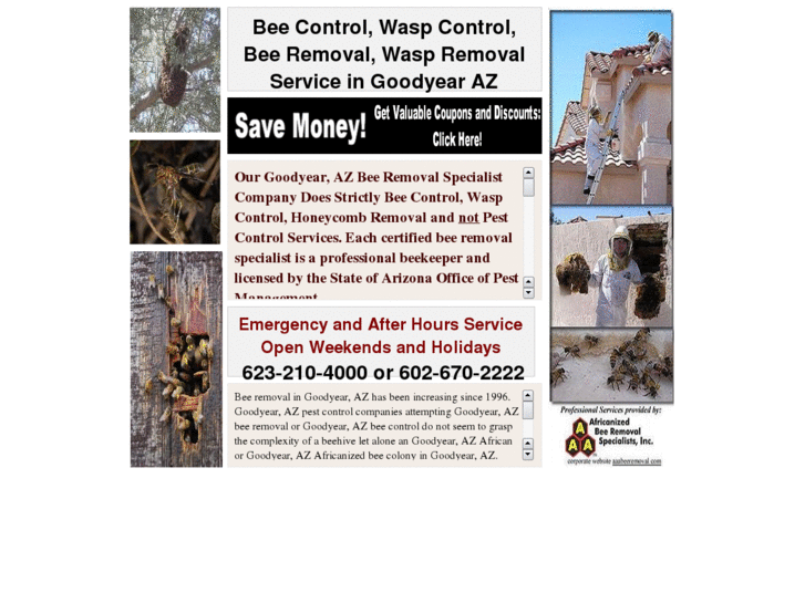 www.beecontrolgoodyearaz.com