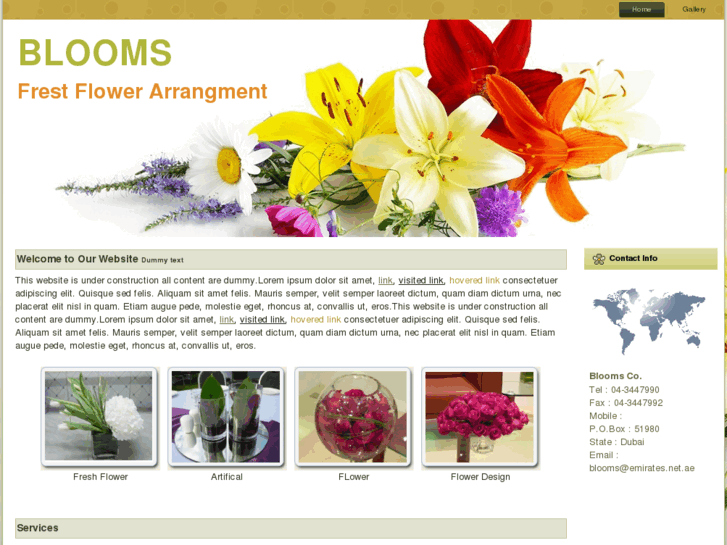 www.bloomsuae.com