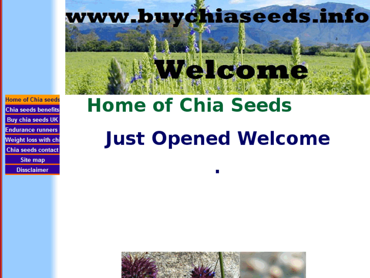 www.buychiaseeds.info