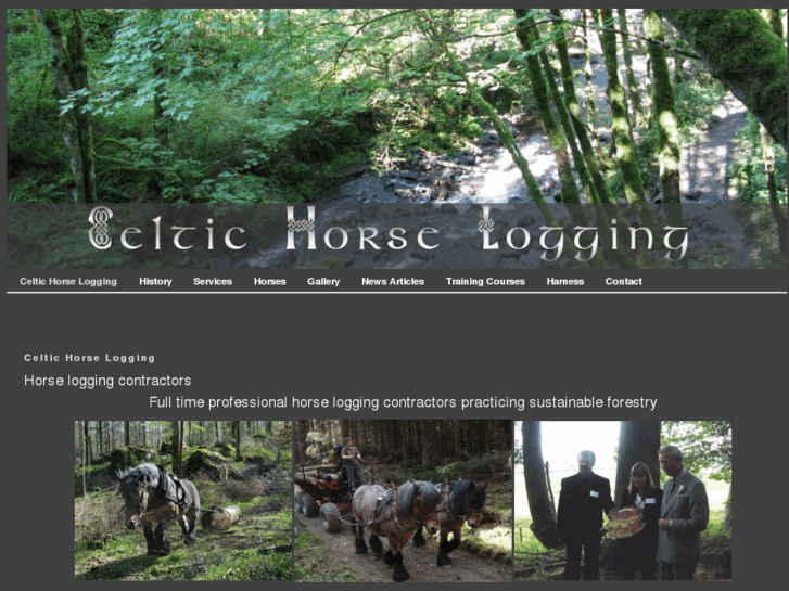 www.celtichorselogging.com
