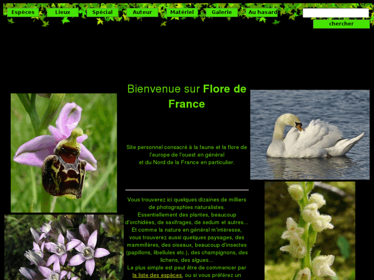 www.floredefrance.com