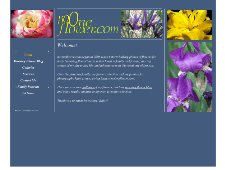 www.nooneflower.com