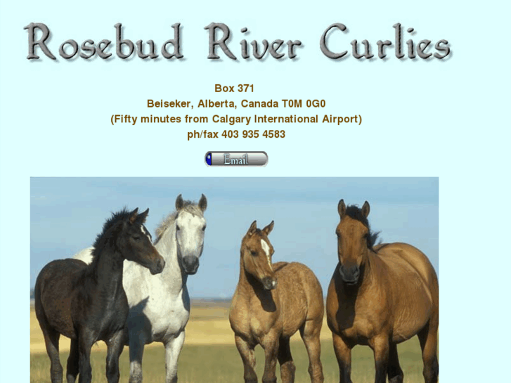 www.rrcurlyhorse.com