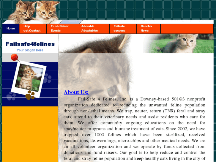 www.failsafe4felines.org