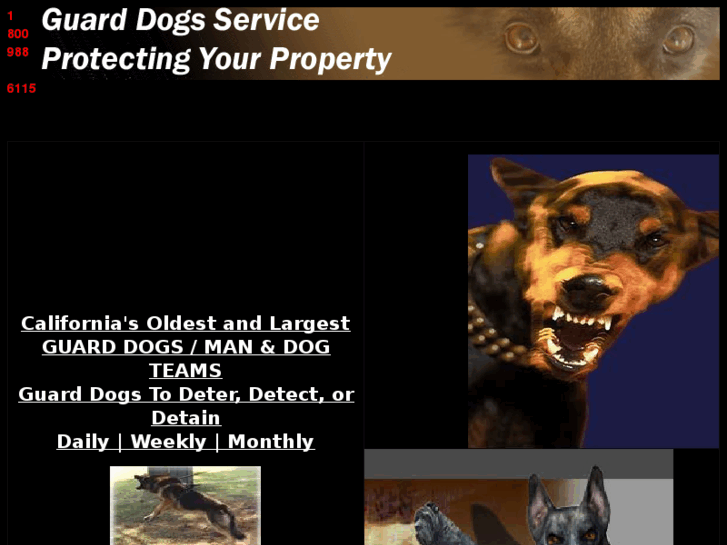 www.guarddogsinc.com