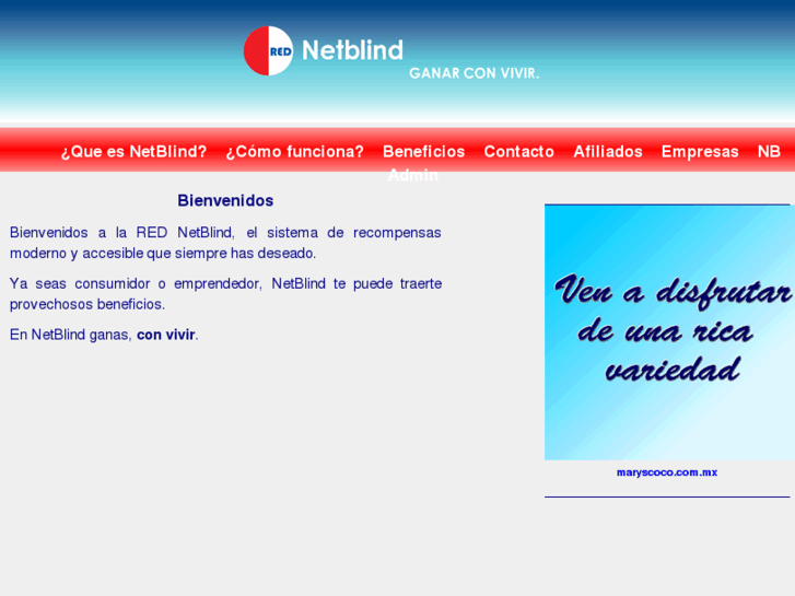 www.netblind.com