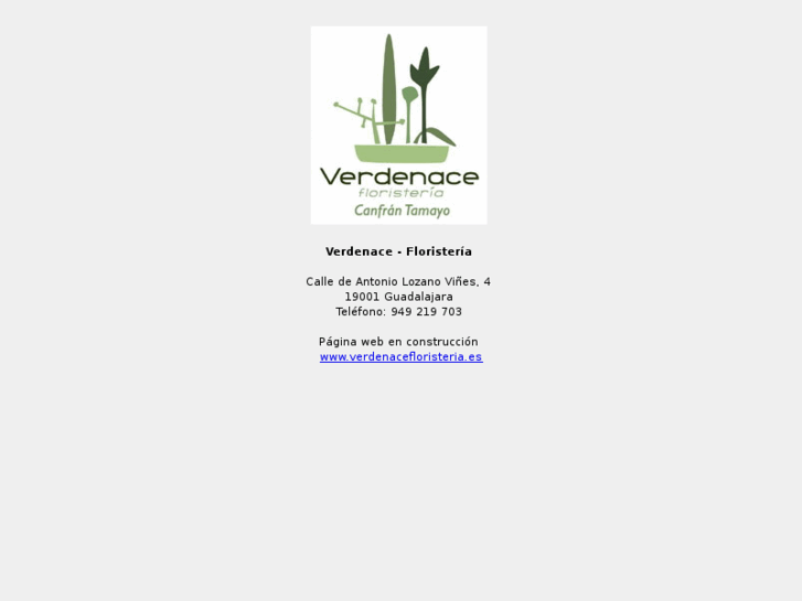 www.verdenacefloristeria.es