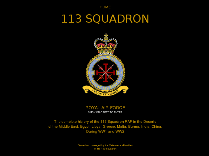 www.113squadron.com