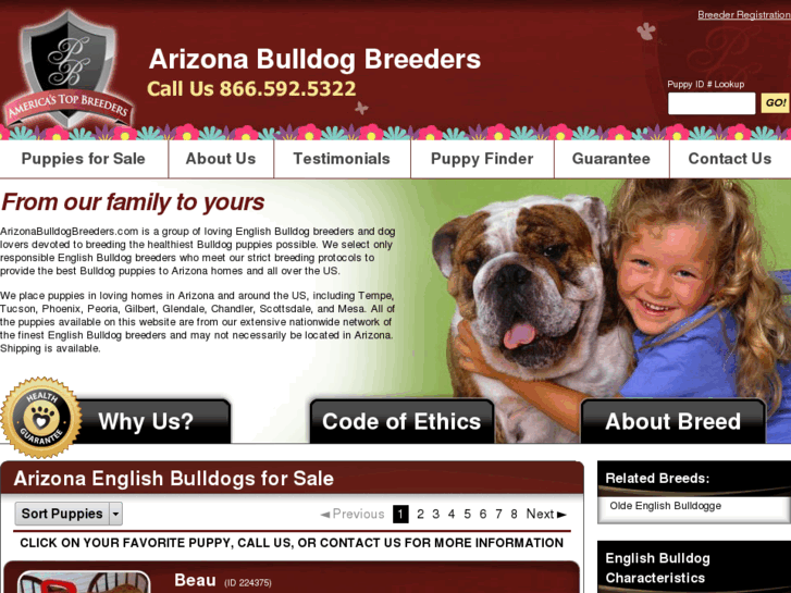 www.arizonabulldogbreeders.com