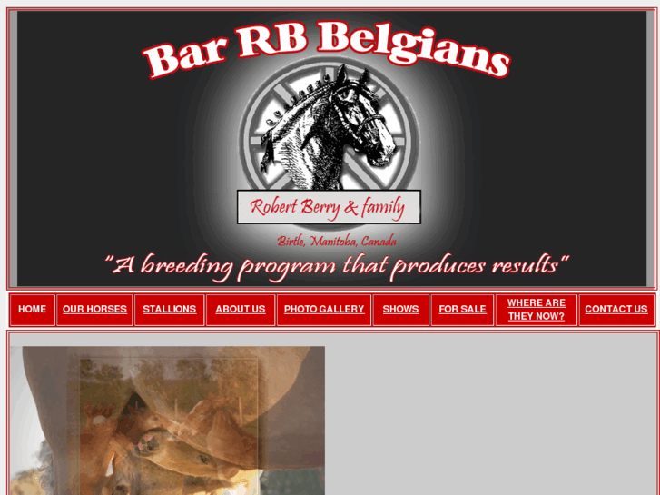 www.barrbbelgians.com