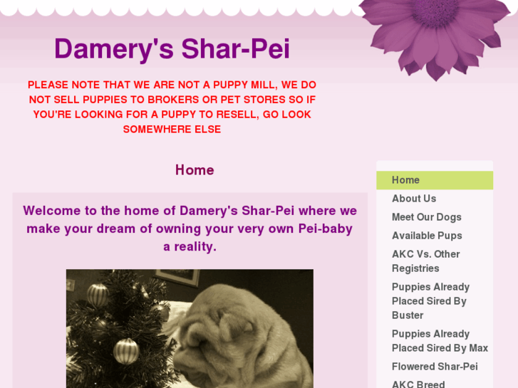 www.damerysshar-pei.com