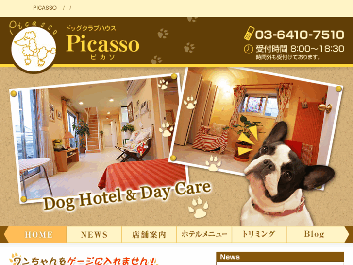 www.dog-picasso.com