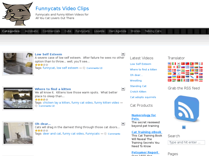 www.funnycatsvideoclips.com