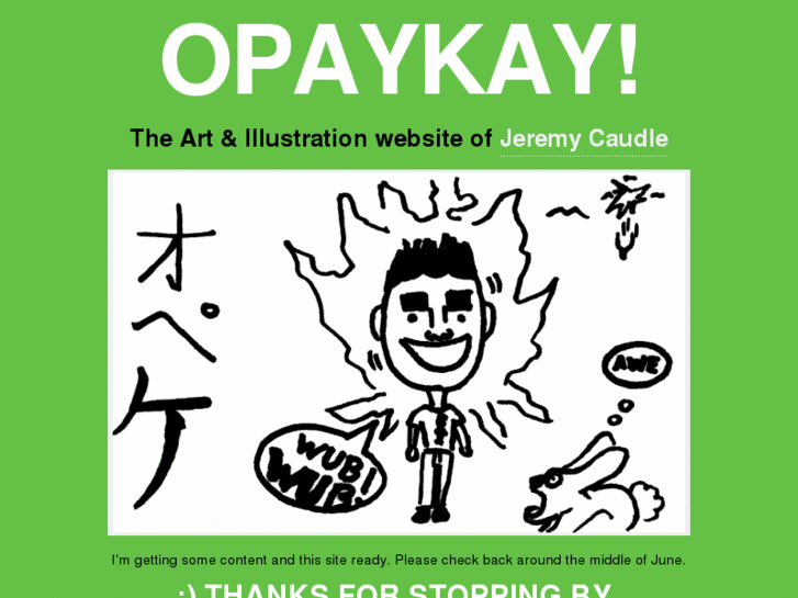 www.opaykay.com