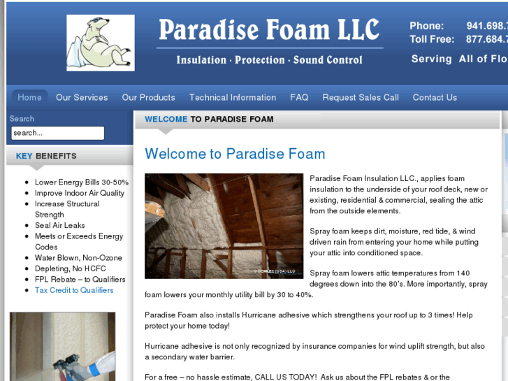 www.paradisefoam.com