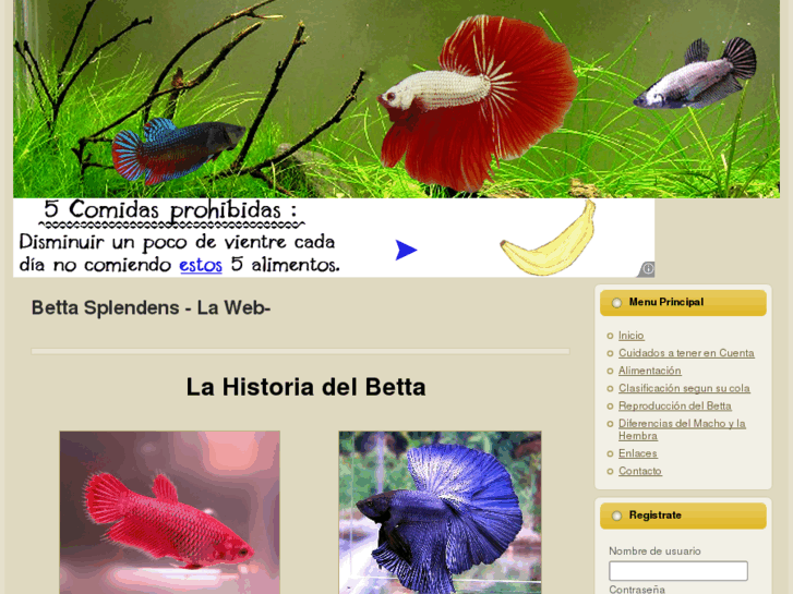 www.pezbetta.com.ar