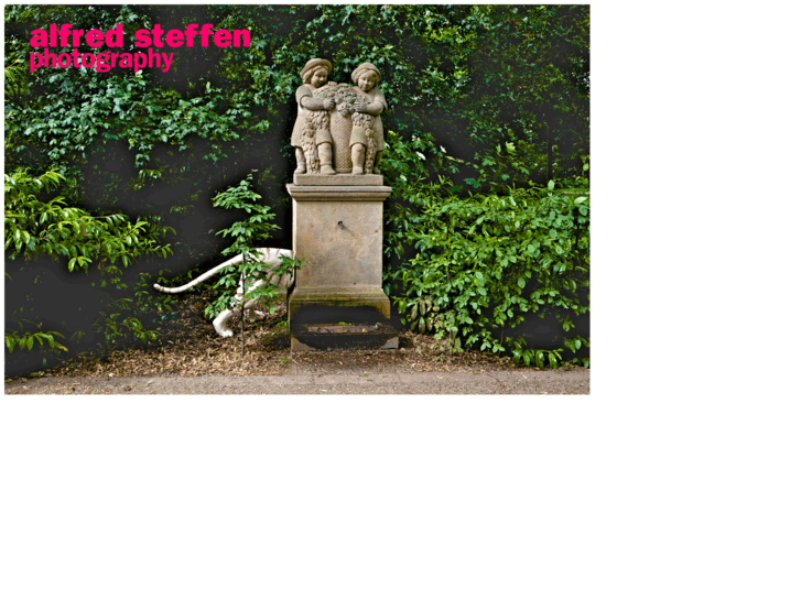 www.alfred-steffen.com