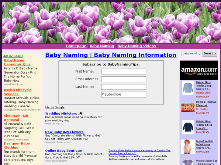 www.babynaming.biz