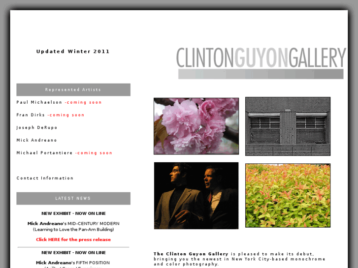 www.clintonguyongallery.com