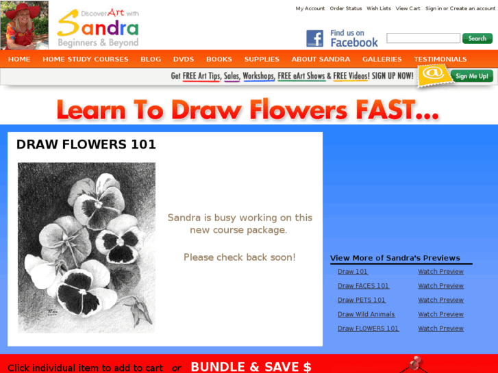 www.drawflowers101.com