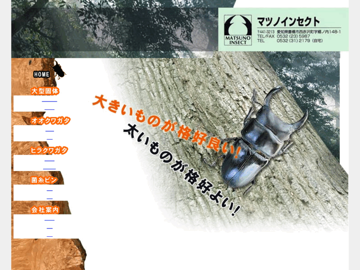 www.matsuno-insect.com