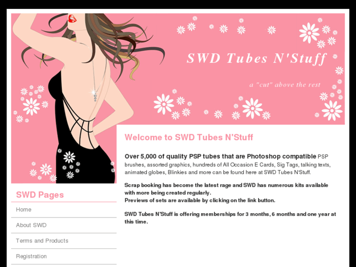 www.swdtubesnstuff.com