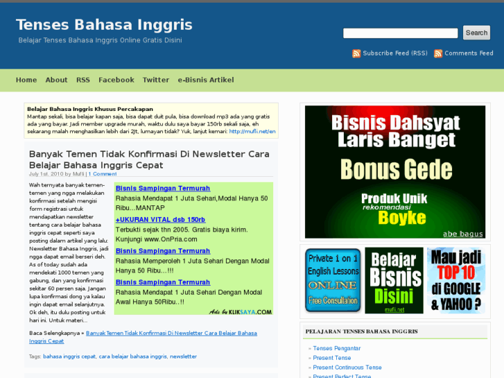 www.tensesbahasainggris.com