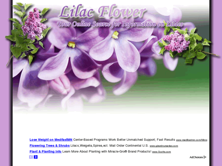 www.lilacflower.net