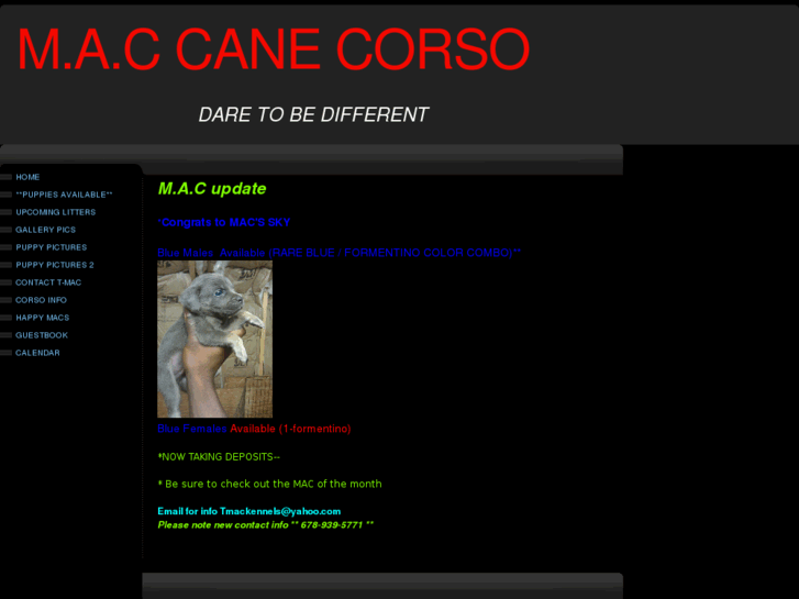 www.maccanecorso.com