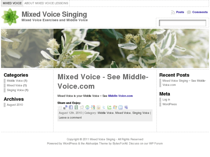 www.mixedvoice.com