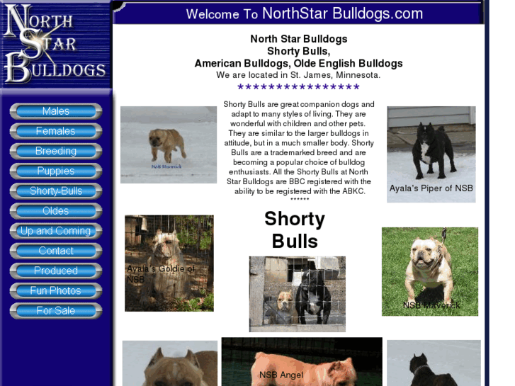 www.northstar-bulldogs.com