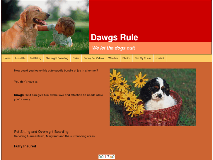 www.dawgsrule.com