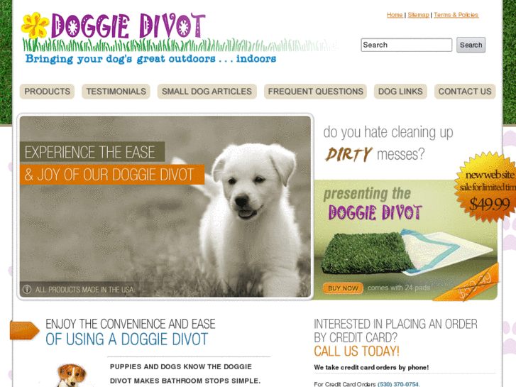 www.doggiedivot.com