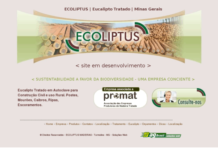 www.ecoliptusmadeiratratada.com