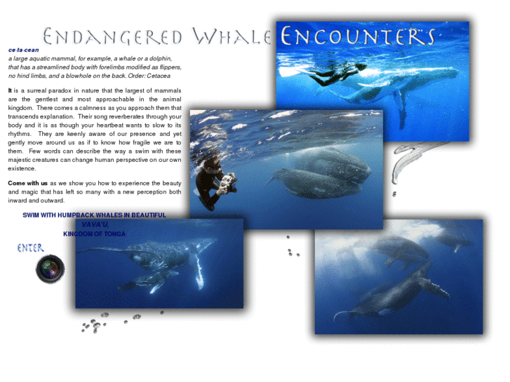 www.endangeredencounters.com