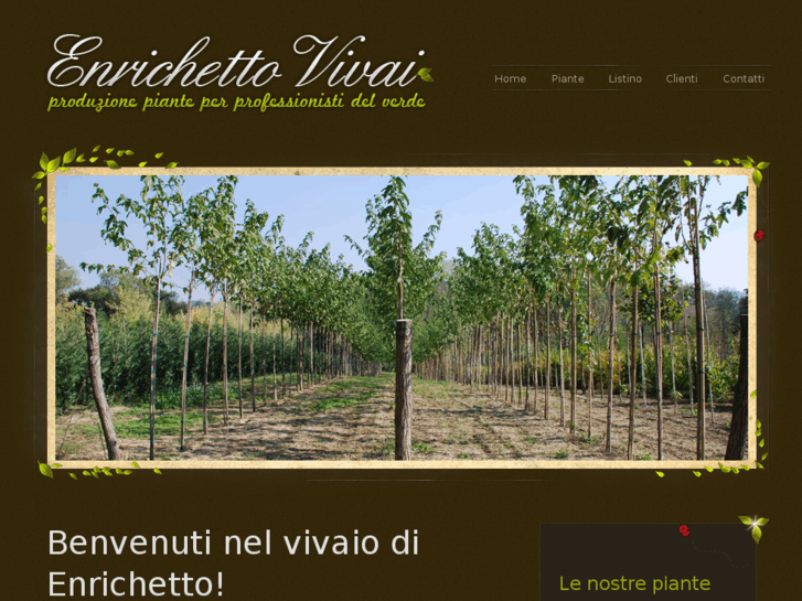 www.enrichettovivai.it