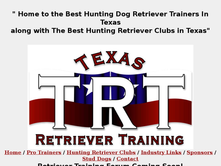 www.texasretrievertraining.com