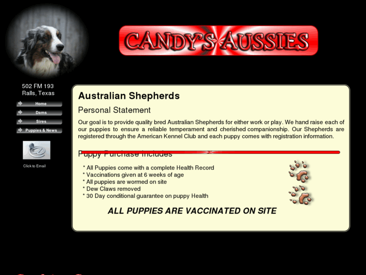 www.candyaussies.com