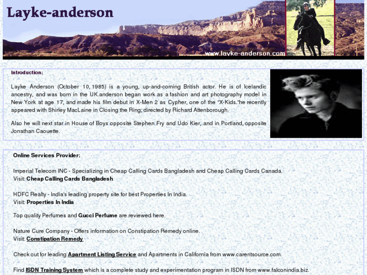 www.layke-anderson.com