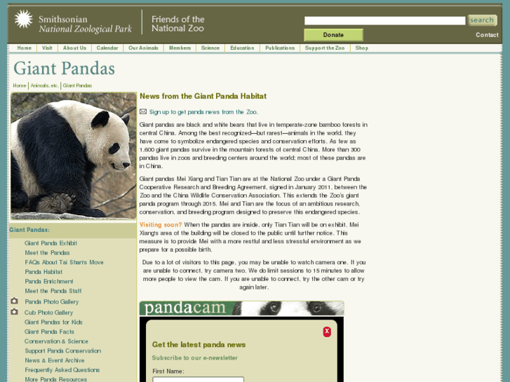 www.pandadate.com