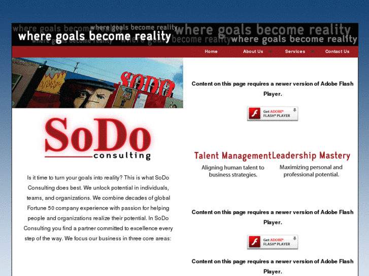 www.sodoconsulting.com