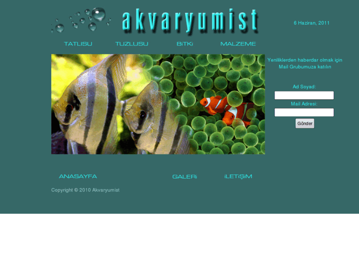 www.akvaryumist.com