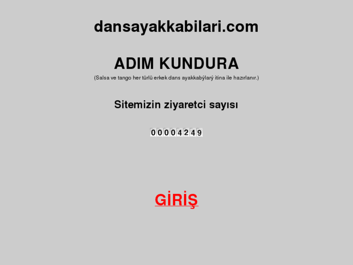 www.dansayakkabilari.com