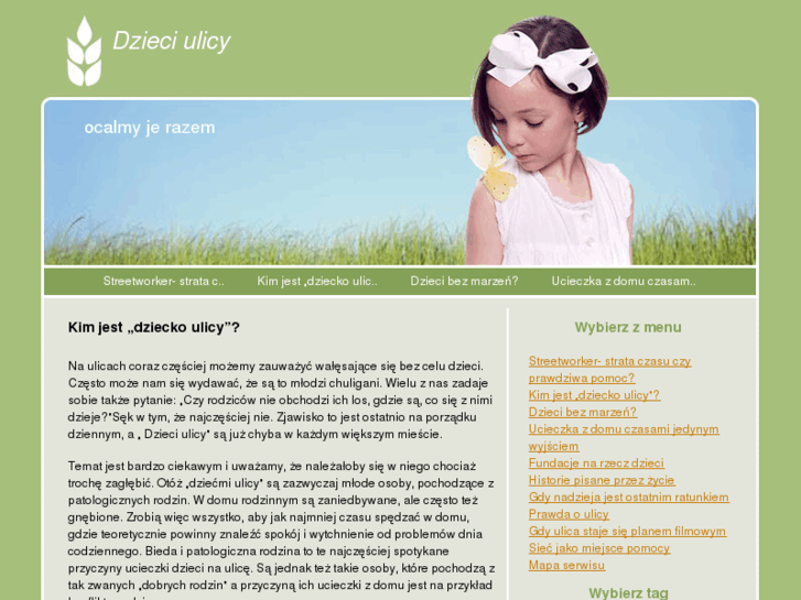 www.dzieciulicy.com.pl